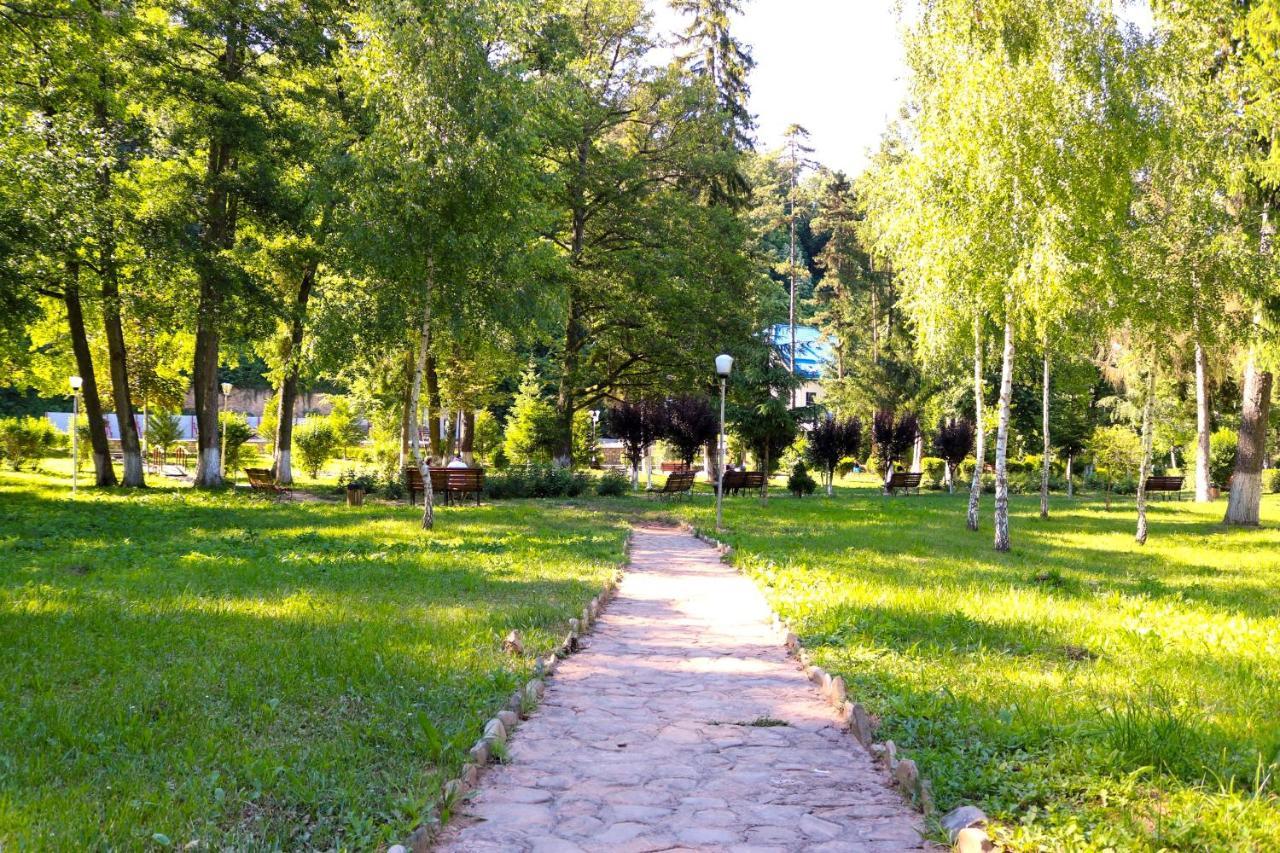 Apartament Iulia Geoagiu Băi Exterior foto